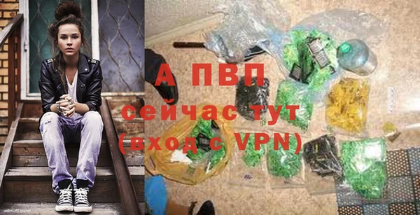 трава Абаза