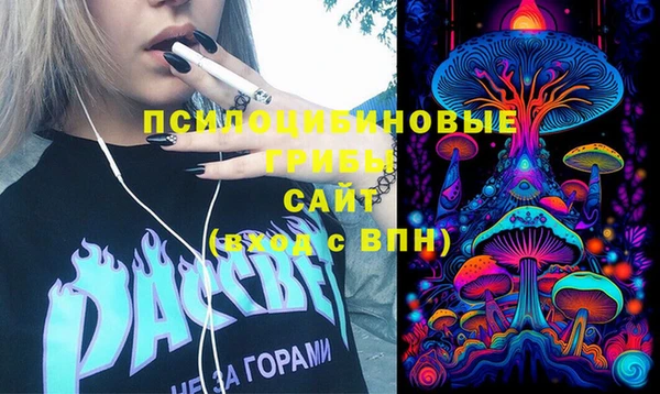 трава Абаза