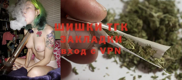 твердый Гатчина